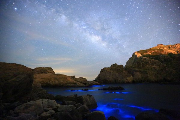 北海坑道夜赏蓝眼泪此生必访最新情报