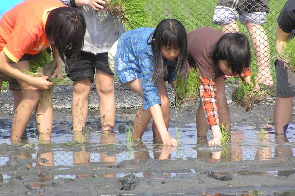 2017宜兰绿色博览会畅游卷玩遍在地绿生机