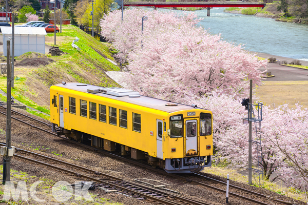 日本秋田萌翻景点恋恋秋田犬路线