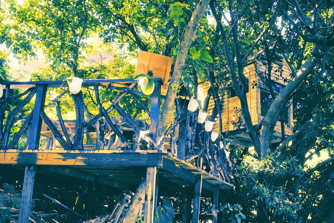 丛林树屋奇幻必拍八里景观秘境梦工厂