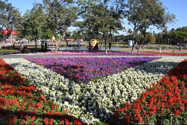 新春公路花园花在彰化鸡祥富贵