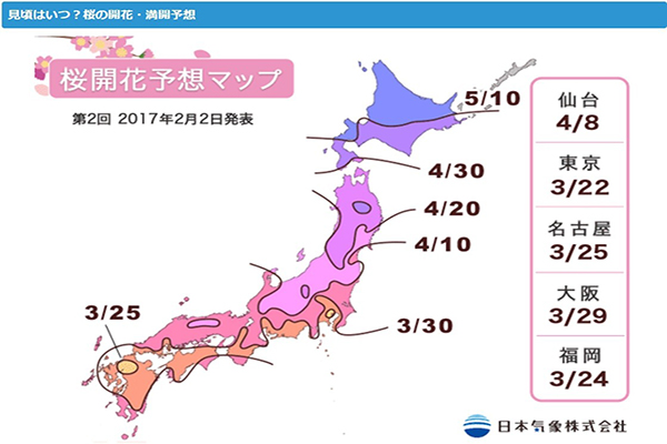 日本赏樱情报最前线最新开花预测