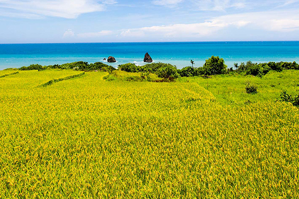 壮阔海景Ｘ艺术造景精选东海岸一日游景点