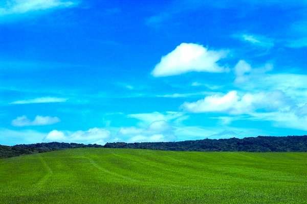 轻松拍出旷野美景精选全台五大草原秘境