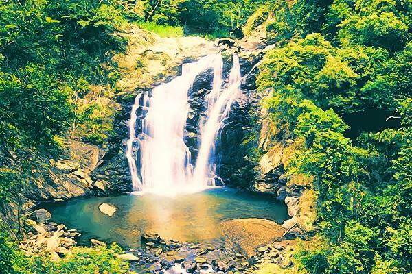 世外桃源森林浴场双流森林园区宛如仙境