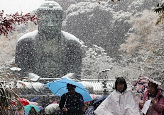 日本东京54年来首度11月初雪