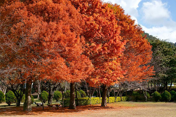 11月12日逢周六多放一天假有学问