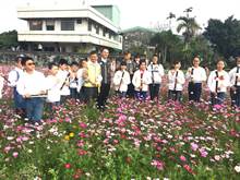 幸福花海迎春！中市西屯区公所相揪来赏花