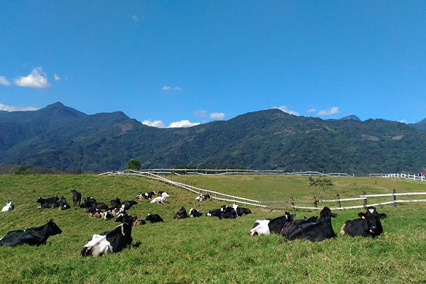 媲美新西兰辽阔草原初鹿牧场全国最大