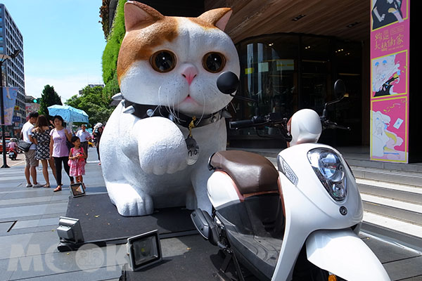 大萌猫出没勤美诚品绿园道活动多