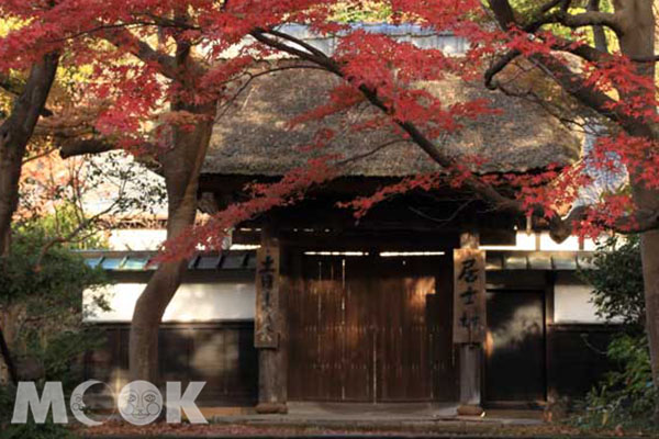 镰仓赏枫必游八大绝美古寺