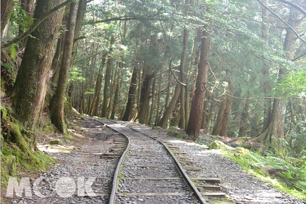 手作步道生态之旅特富野古道工作假期