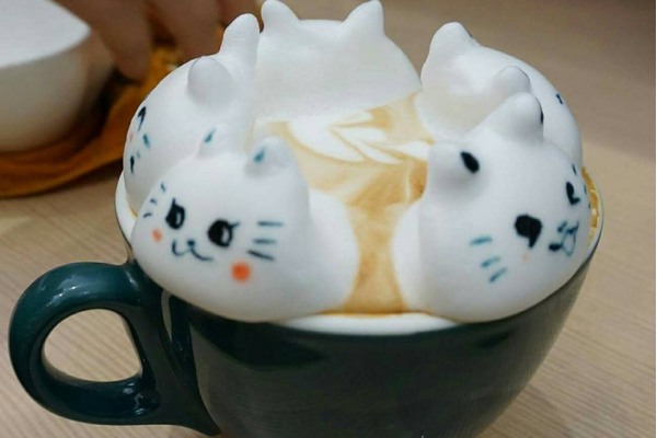 超萌猫咪3D拉花猫旅行咖啡好疗愈