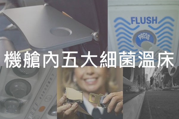 最脏的不是厕所机舱内五大细菌温床