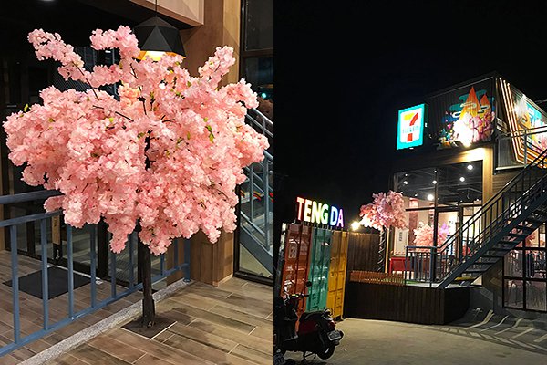 樱花铁道风超商新景点货柜屋樱花树打卡必拍