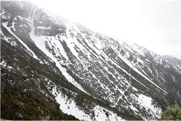 低温来袭玉山飘雪了