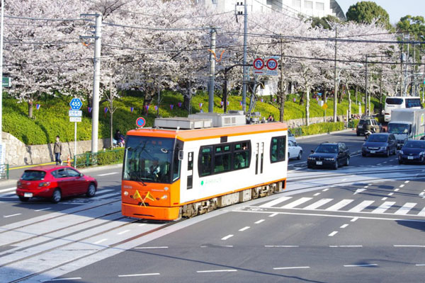 东京樱花路面电车启动赏遍都内四大赏樱名所