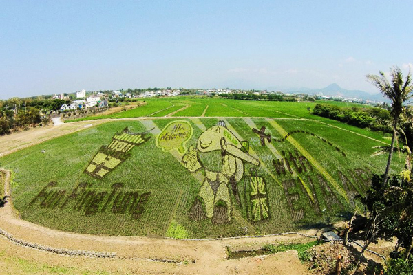 屏东彩稻节登场打造3D飞机立体稻田