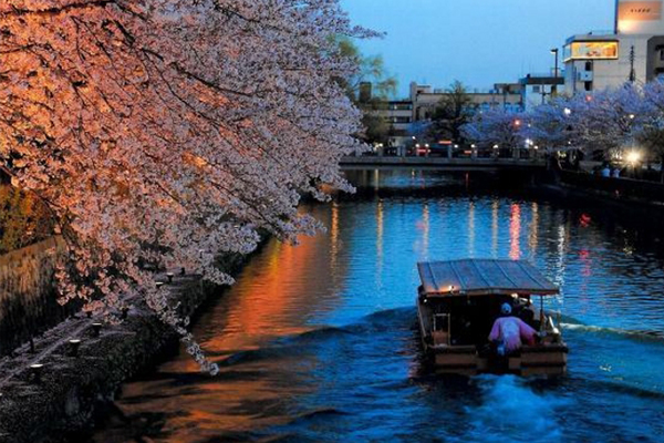 京都赏樱全攻略八大景点不能错过