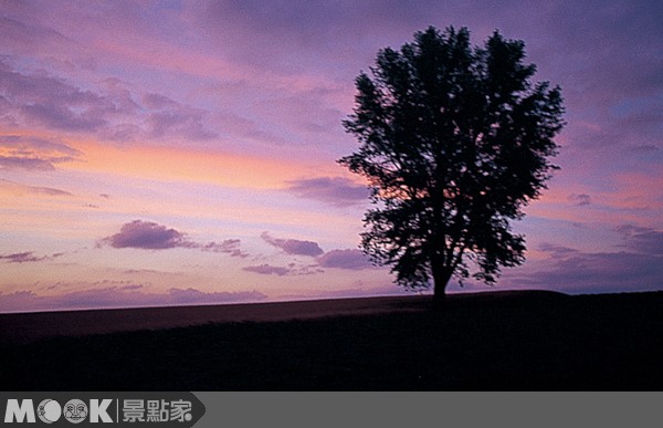 再见了哲学之木美瑛名景成绝景