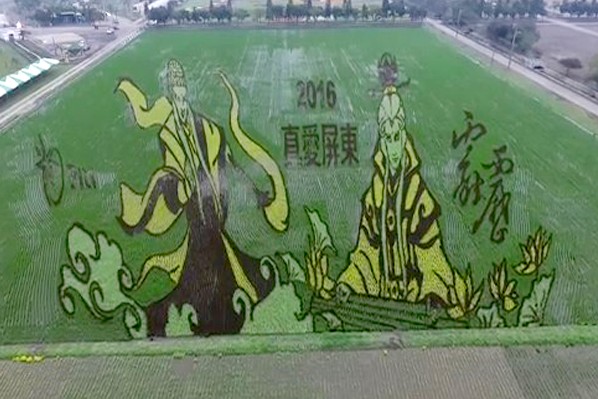 屏东热带农业博览会彩虹花海3D霹雳彩绘稻田太精彩