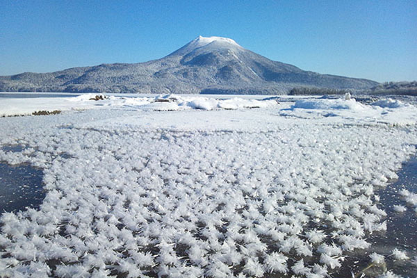 日本九州、四国百年难得大雪北海道霜花绽放