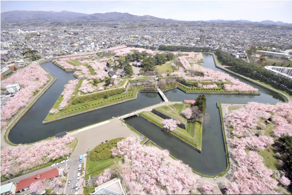北海道四大赏樱名所必看五棱郭星型樱花海