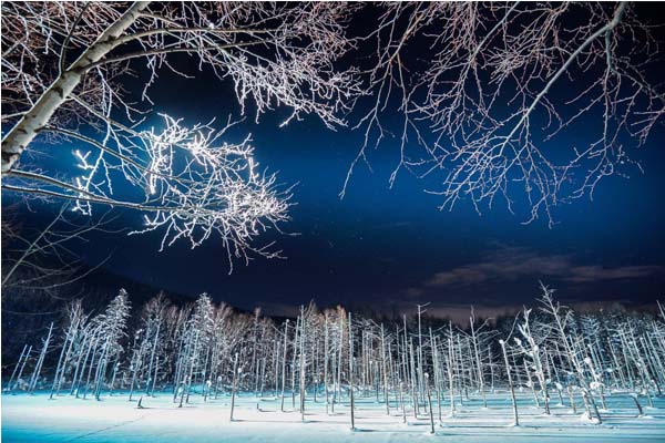 极致唯美！北海道白须瀑布点灯像做梦