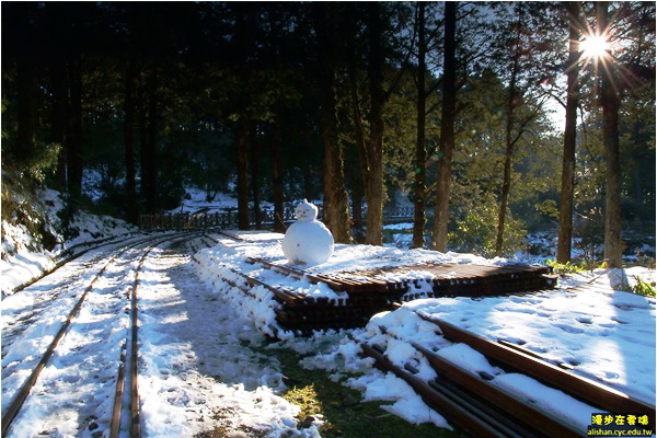 阿里山梦幻雪景可望再现赏雪景点懒人包