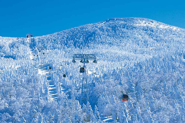 冬季限定冰雪飨宴藏王冰怪超惊悚