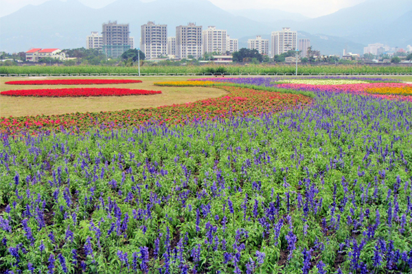 北市花海不间断3D地景同游更有趣