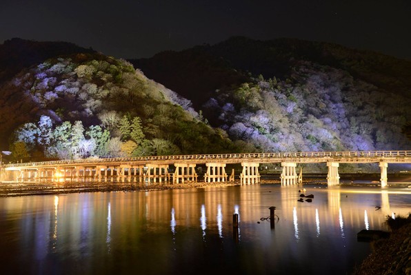 京都最美花灯路岚山动人东山美绝