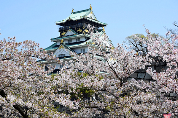 今年赏樱就到这！日本樱花名所懒人包