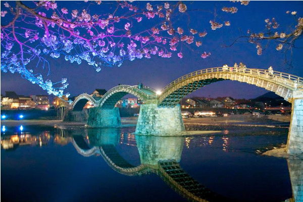 必赏四大夜樱不可错过的夜间浪漫景点