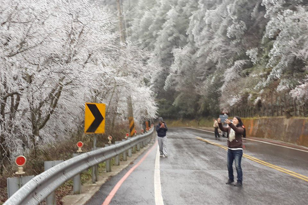 合欢山雪季登场交管情报公布