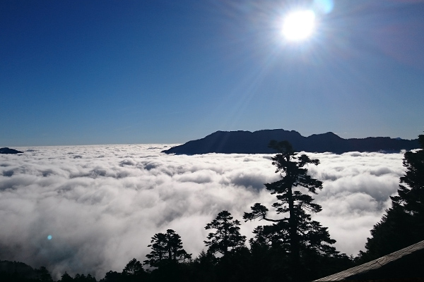 秋冬合欢山云海奔腾伴星空