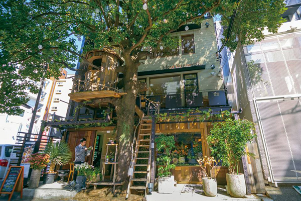城市绿森林东京树屋的美味冒险