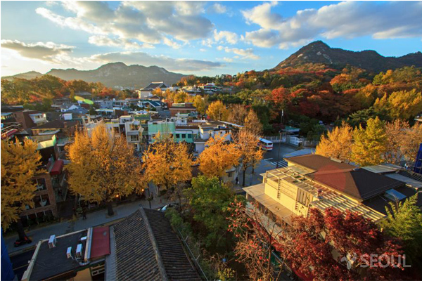 秋天玩韩国首尔市区枫景懒人包