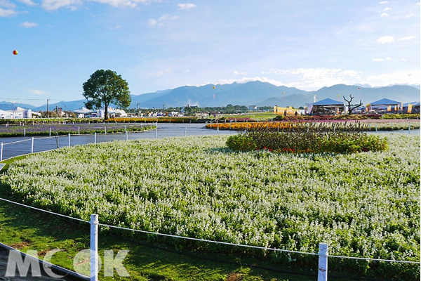 2015新社花海艺想万花筒缤纷登场