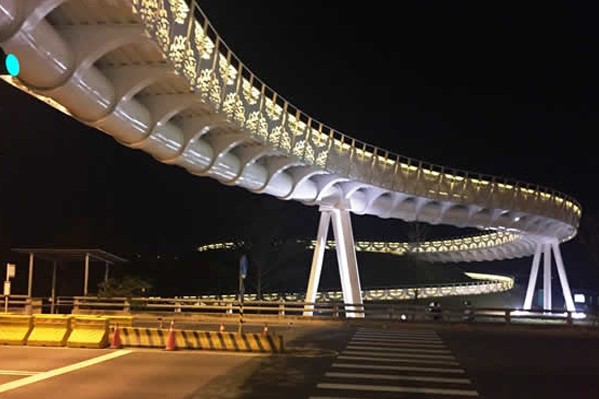 高雄新景点大树景观天桥完工