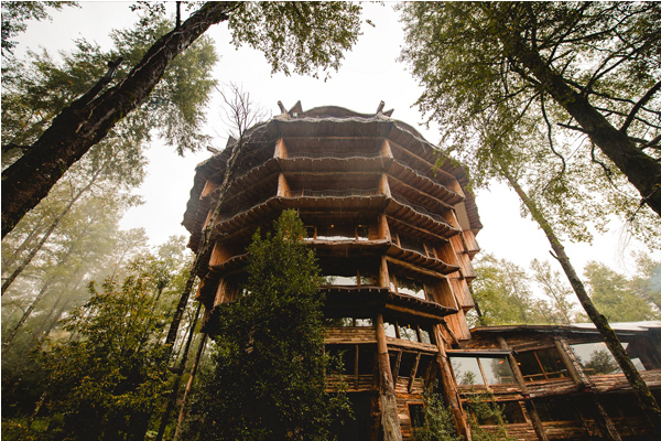 住了就不想离开！7座超梦幻树屋旅馆