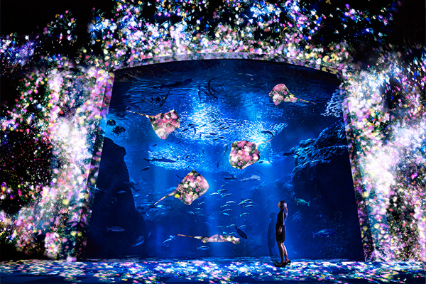 鱼与花的秘密约会万花筒夜光水族馆超梦幻