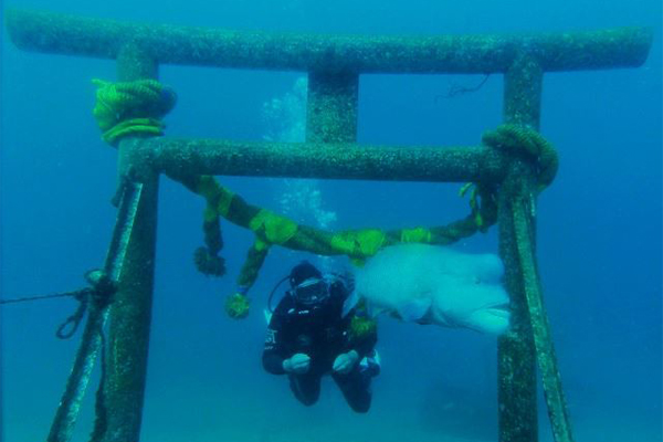潜水O专属海底神社想参拜先下水