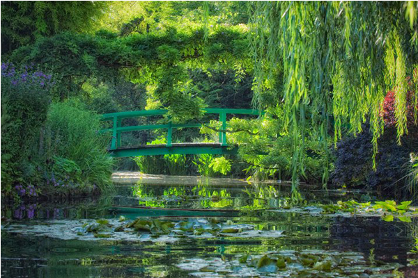 置身名画场景！法国莫内花园鲜绿动人