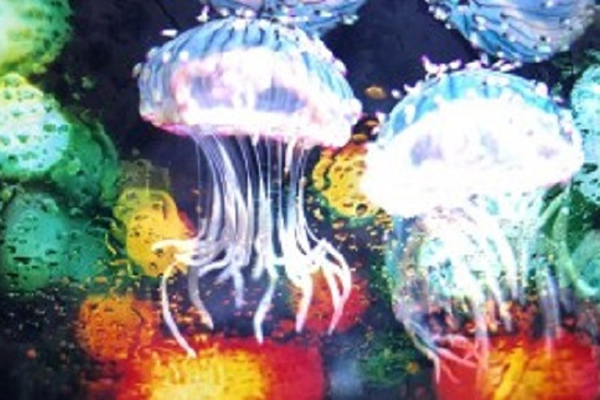 蜷川实花新作晴空塔内发现水母万花筒隧道