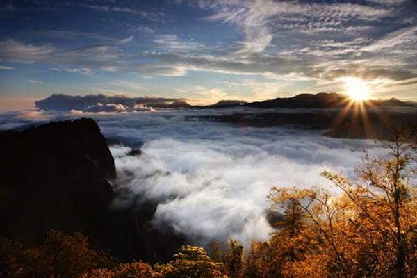 美景精彩变幻外国人也着迷的阿里山