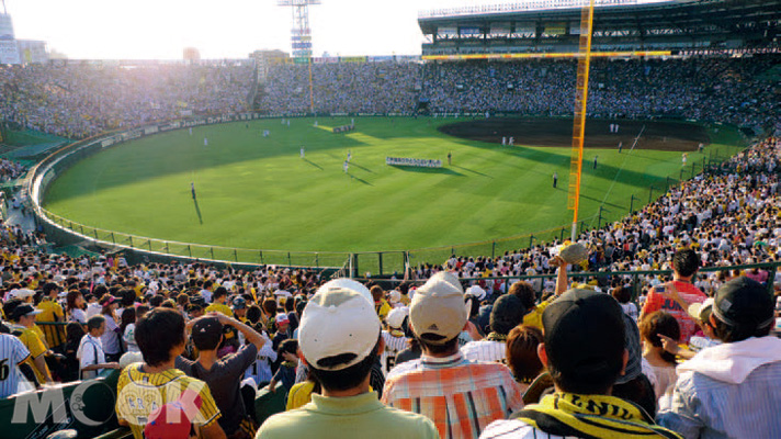 一球入魂！日本高校野球圣地阪神甲子园球场