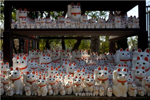 招财猫神社超萌散策好运财富一招就来
