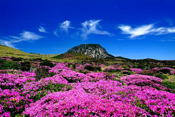 韩国度蜜月爱情之地浪漫济州岛