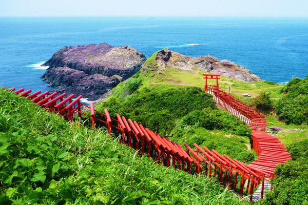 123座红色鸟居宛如巨龙匍匐！海边神社太美